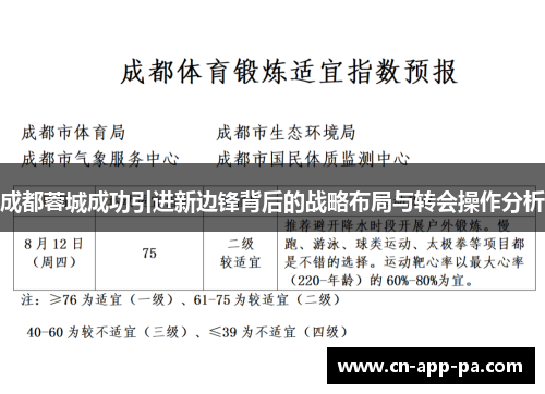 成都蓉城成功引进新边锋背后的战略布局与转会操作分析