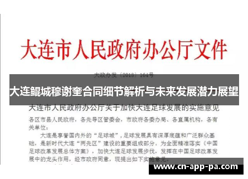 大连鲲城穆谢奎合同细节解析与未来发展潜力展望