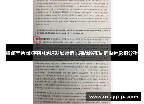 穆谢奎合同对中国足球发展及俱乐部战略布局的深远影响分析