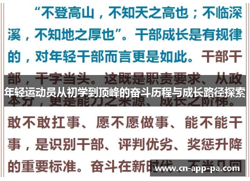 年轻运动员从初学到顶峰的奋斗历程与成长路径探索