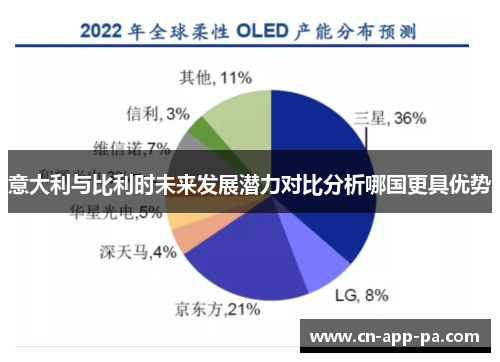 意大利与比利时未来发展潜力对比分析哪国更具优势