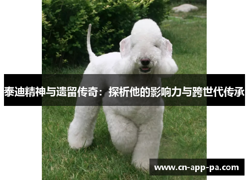 泰迪精神与遗留传奇：探析他的影响力与跨世代传承