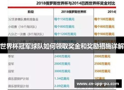 世界杯冠军球队如何领取奖金和奖励措施详解