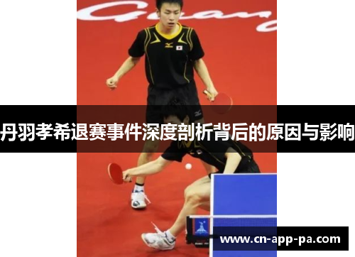 丹羽孝希退赛事件深度剖析背后的原因与影响