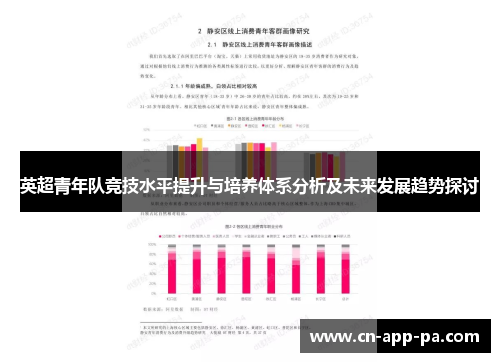 英超青年队竞技水平提升与培养体系分析及未来发展趋势探讨