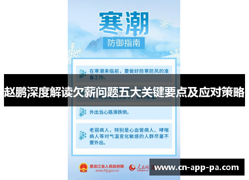 赵鹏深度解读欠薪问题五大关键要点及应对策略