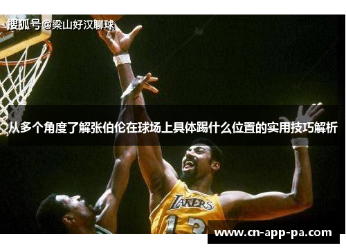 从多个角度了解张伯伦在球场上具体踢什么位置的实用技巧解析 从多个角度了解张伯伦在球场上具体踢什么位置的实用技巧解析