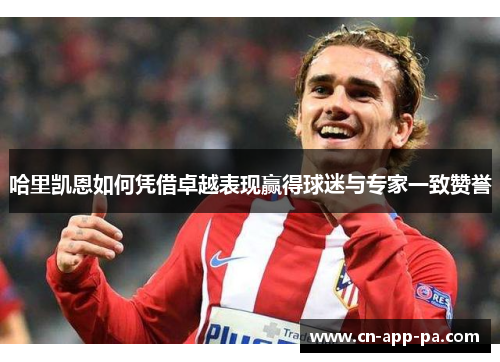 哈里凯恩如何凭借卓越表现赢得球迷与专家一致赞誉