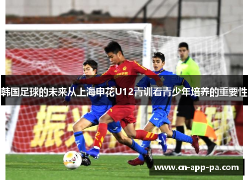 韩国足球的未来从上海申花U12青训看青少年培养的重要性