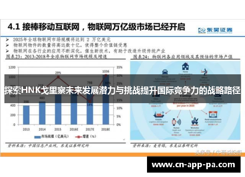 探索HNK戈里察未来发展潜力与挑战提升国际竞争力的战略路径