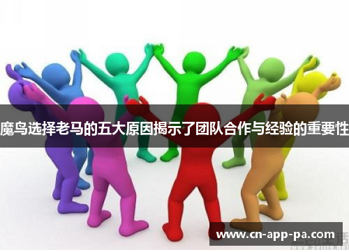 魔鸟选择老马的五大原因揭示了团队合作与经验的重要性