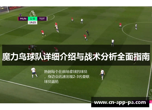 魔力鸟球队详细介绍与战术分析全面指南